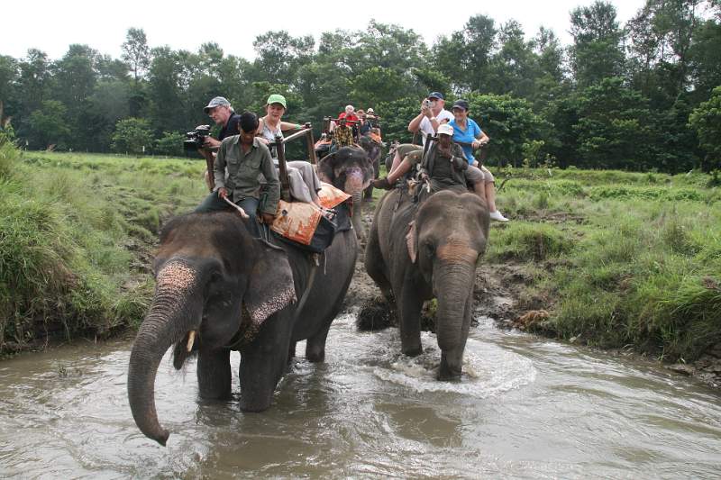 India & Nepal 2011 - 0552